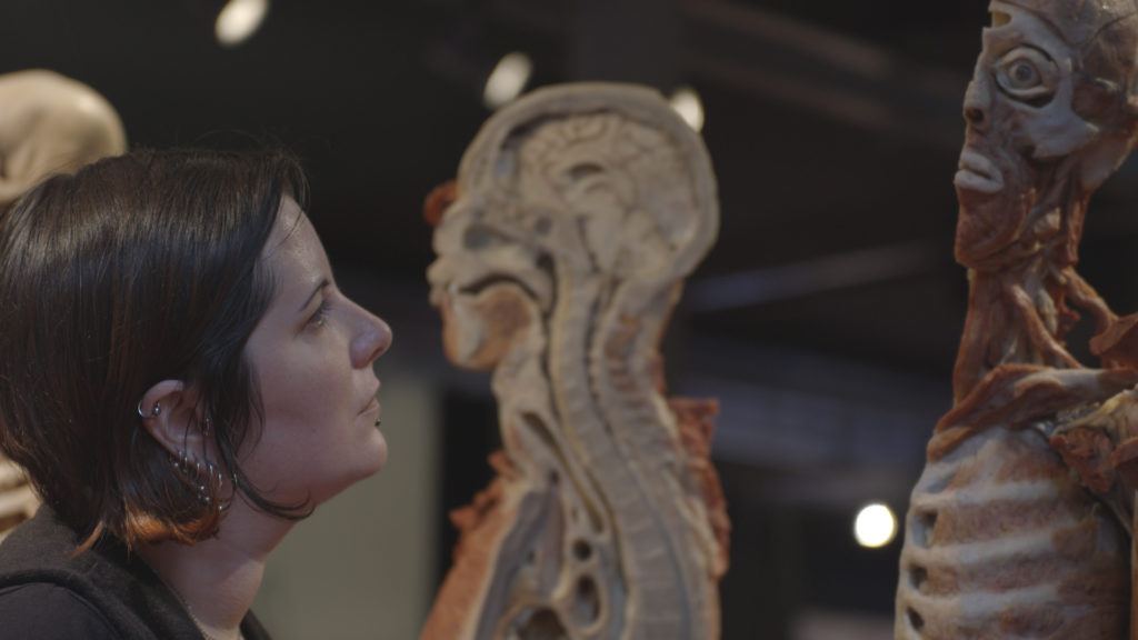 Anna Plastinarium